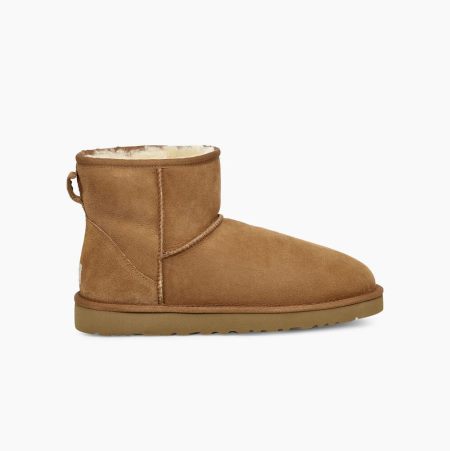 UGG Classic Mini Brown Boots for Men (TKZG73129)